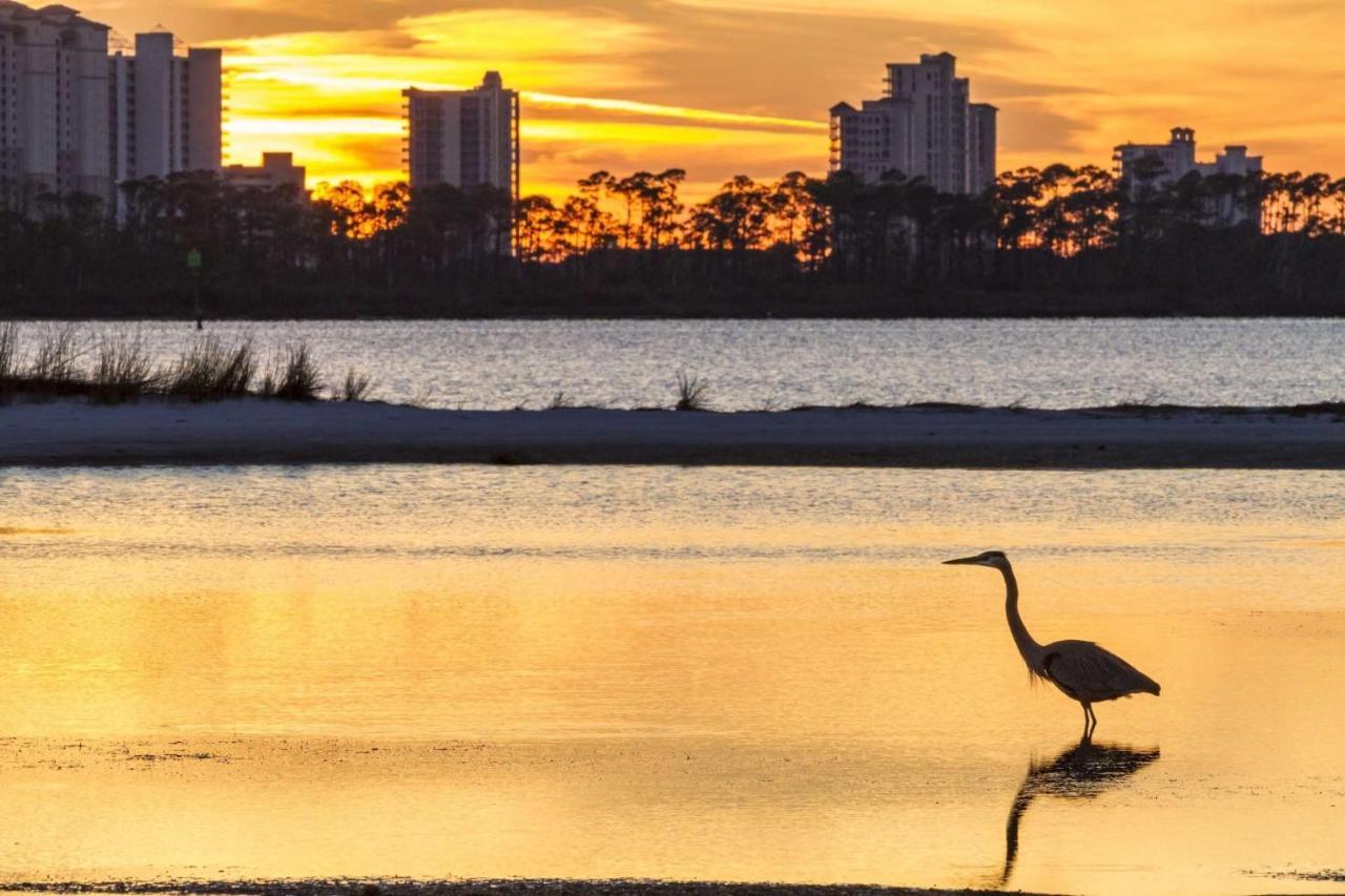 Resting Beach Face Pensacola Exterior photo
